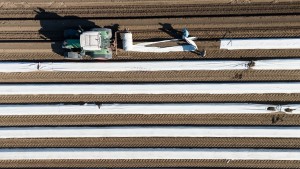 EU-Staaten beschließen Entlastung für Landwirte