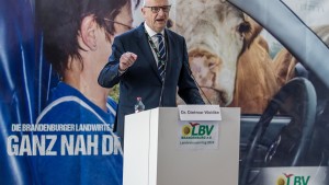 Grüne werfen Woidke Vertrauensbruch vor