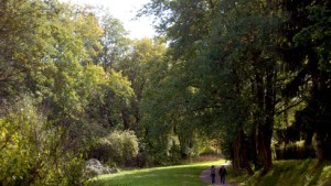 Immer wieder Land unter im Taunus