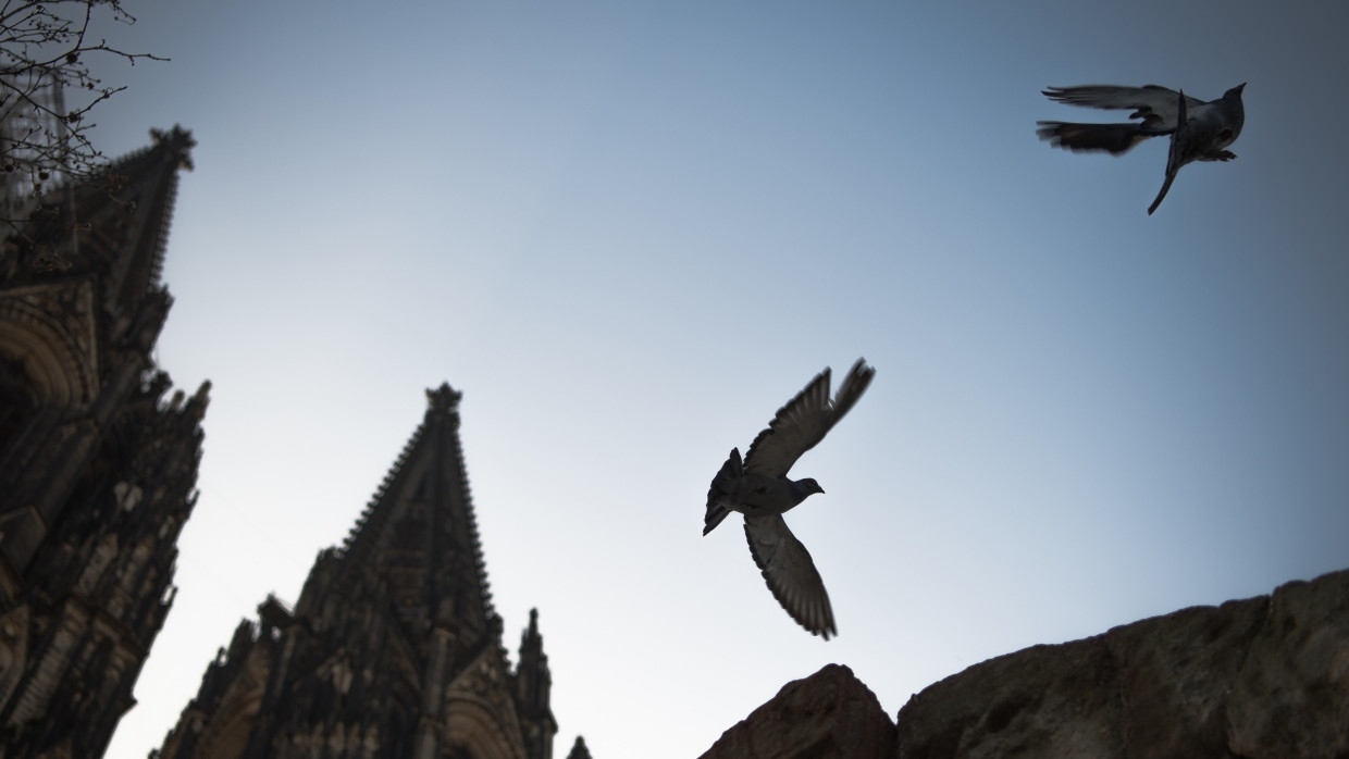 Der Himmel so weit: Tauben vor der Westseite des Kölnes Doms am 24. März 2021