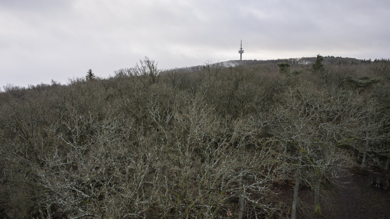 Ausbaufähig: Auf dem Taunuskamm Winterstein sollen 18 Windräder errichtet werden – Naturschützer spenden Beifall.