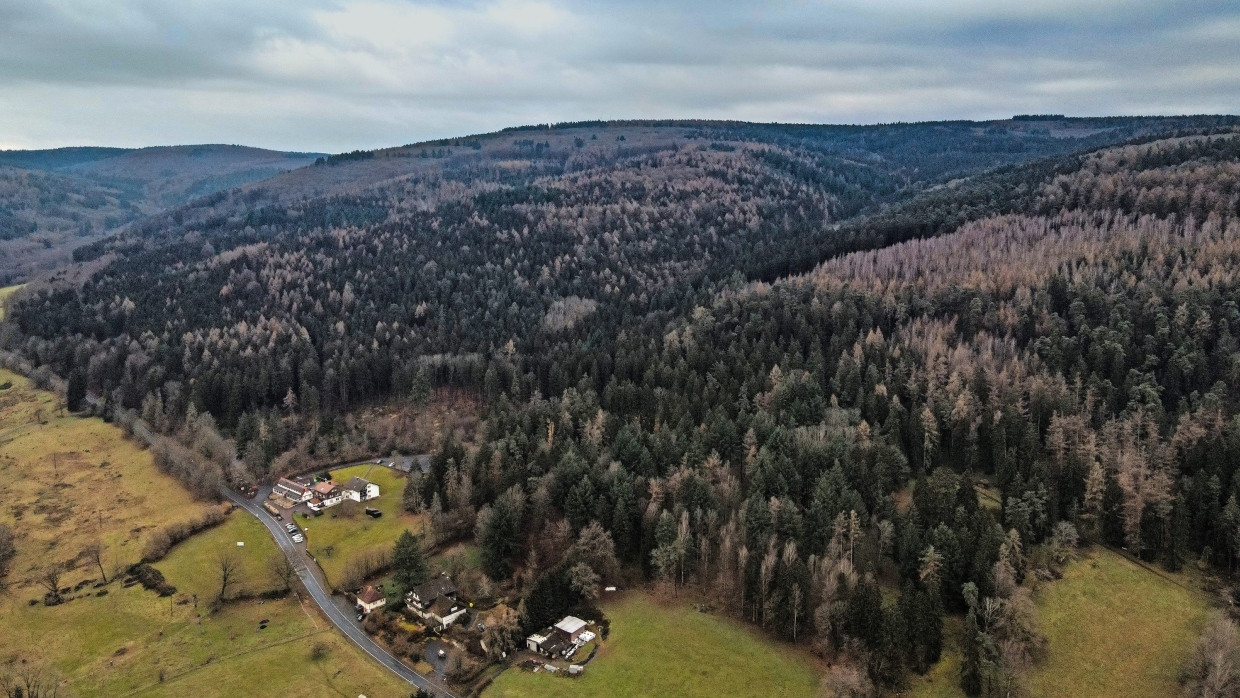 Umkämpfte Windvorrangfläche: Der Horstberg bei Bad Orb im Spessart