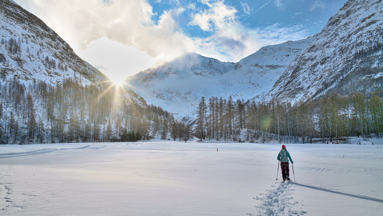 Bartgeier, Steinböcke und Wölfe leben im  Hochplateau von Bessans.  Für Schneewanderer  sind sie aber keine Gefahr.