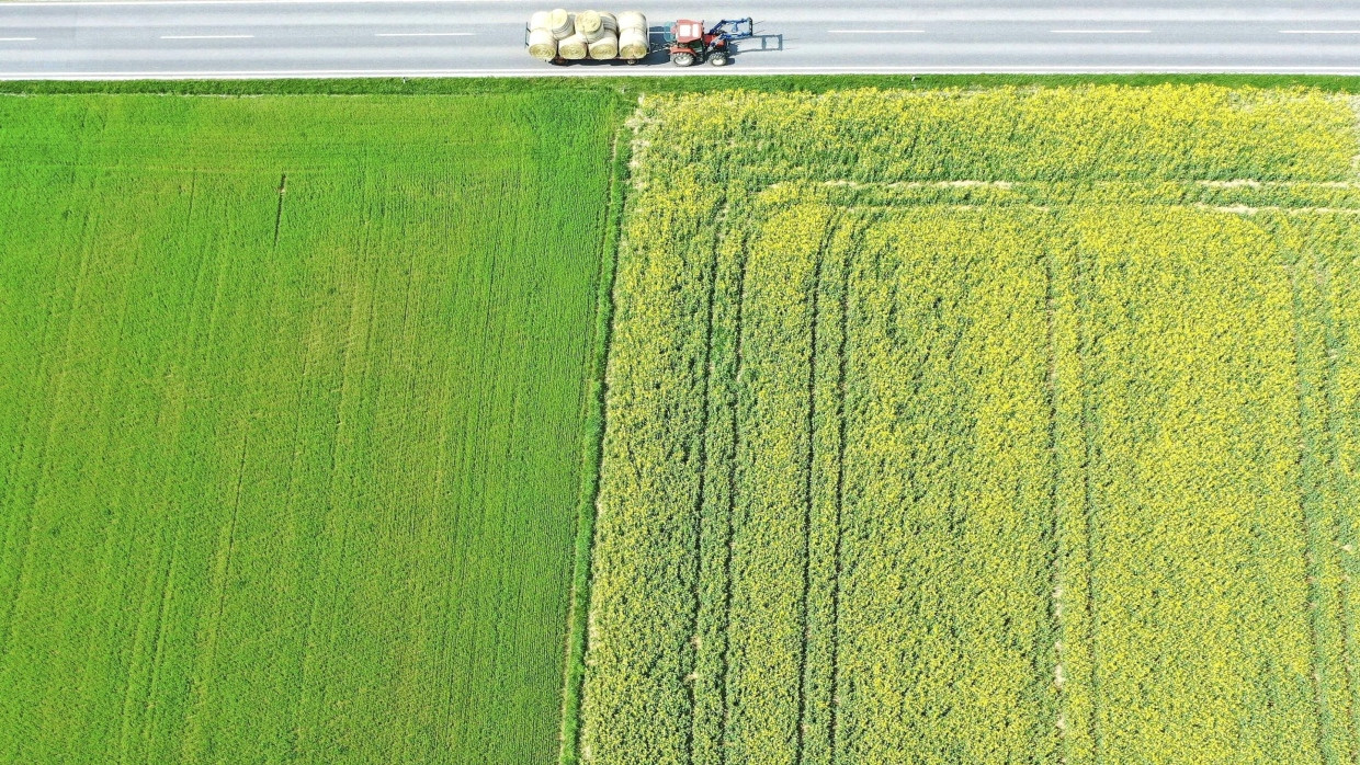 Regierungsplan: Keine Ackerflächen mehr für Biokraftstoff