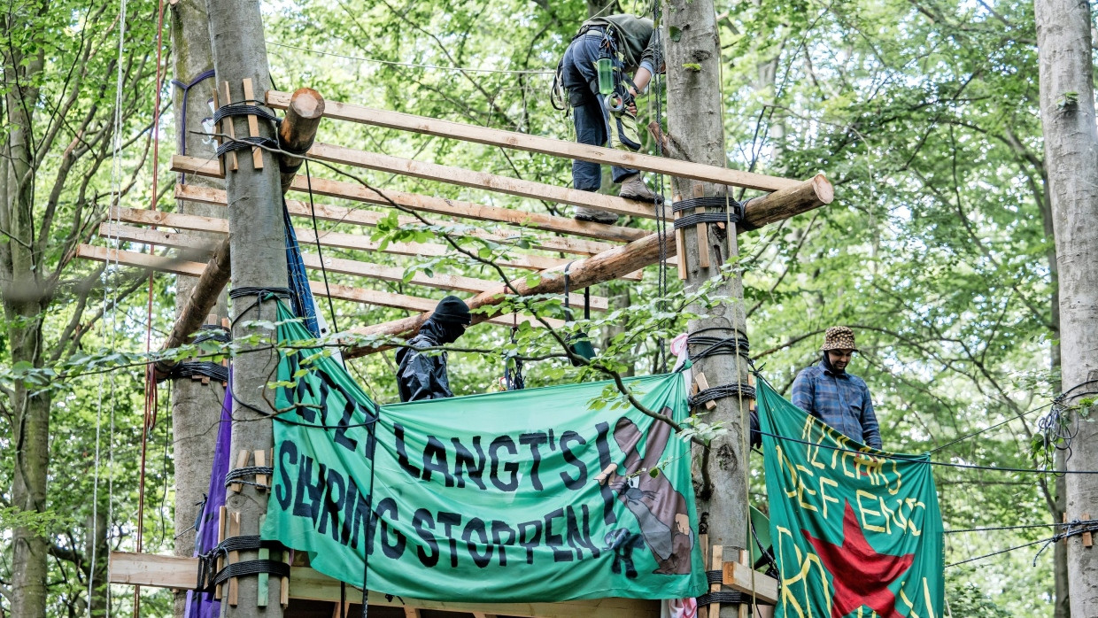 Stabil gebaut: Die von den Aktivisten im Langener Stadtwald errichtete Plattform erweckt den Eindruck, als wäre es nicht deren erste Baumbesetzung.