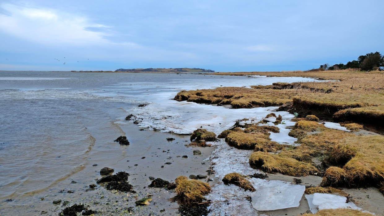 Die Küste vor Havnsø.