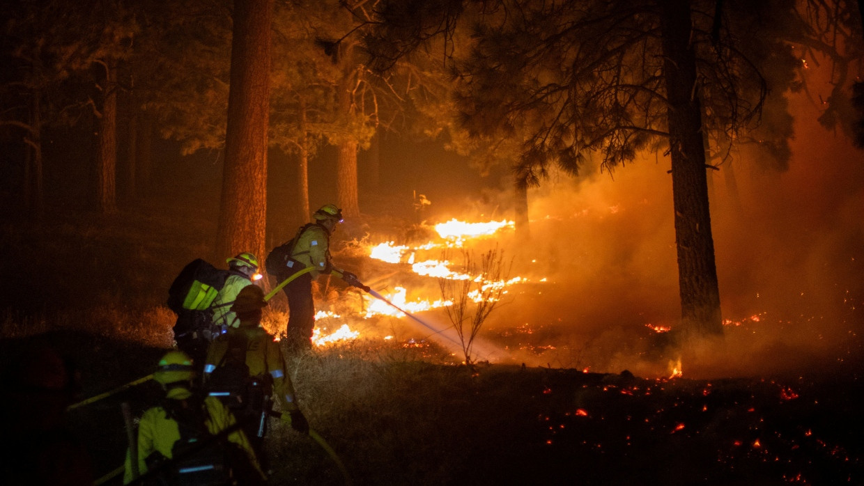 Im Wald nordöstlich von Los Angeles: Die Feuerwehr versucht, die Flammen einzudämmen.