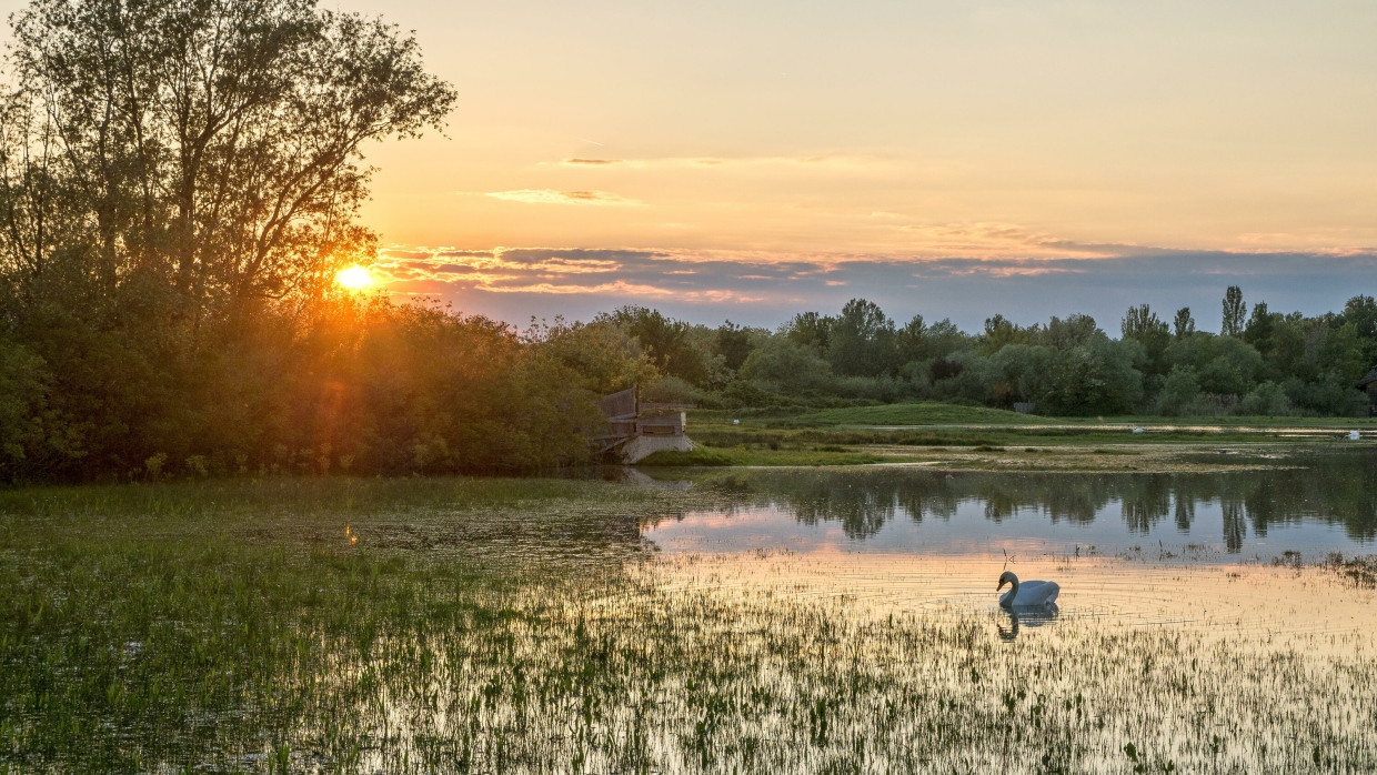 Refugium für Menschen und Tiere seit der Antike: Die malerische Isonzo-Flussmündung mit der Isola della Cona östlich von Grado ist heute ein berühmtes Vogelschutzgebiet