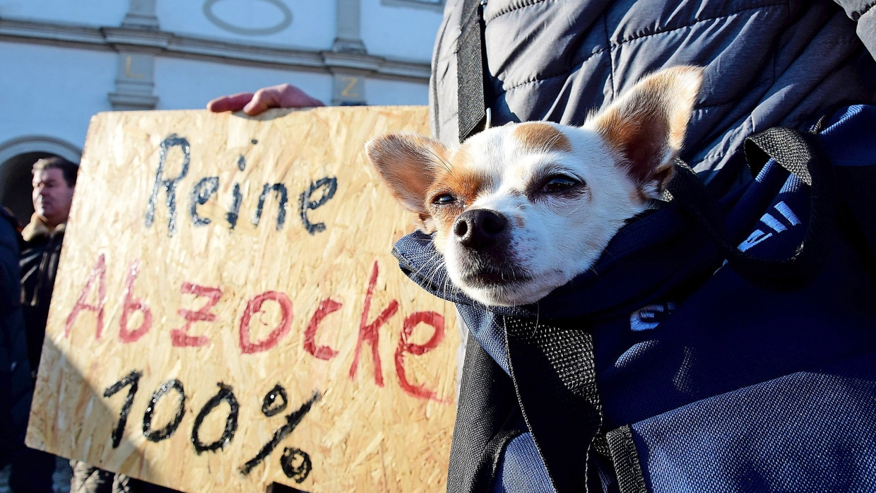 Leere Kassen: Bad Karlshafen hat die Hundesteuer drastisch erhöht.