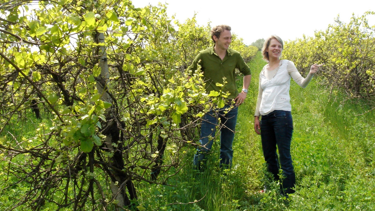 Hier findet der Test statt: Werner und Angela Michits auf ihrem Weingut Michits in Panhagen 