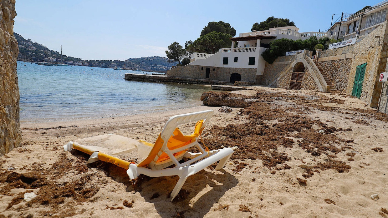 Bereit für Gäste: Strandliege in Port Andratx auf Mallorca