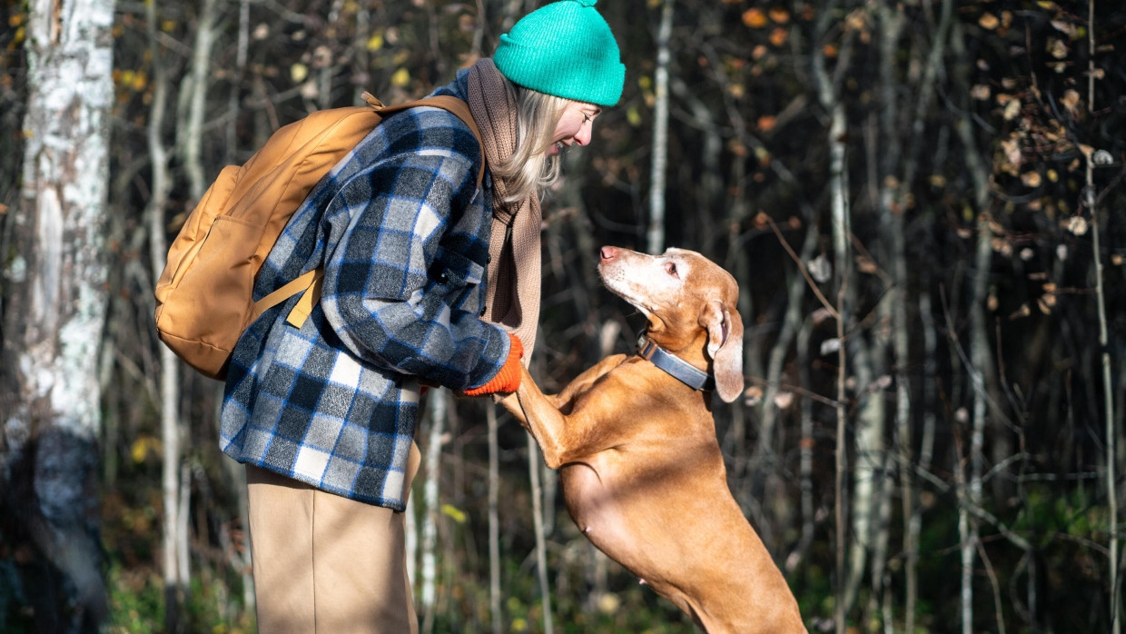 Macht ein Hund wirklich glücklich?