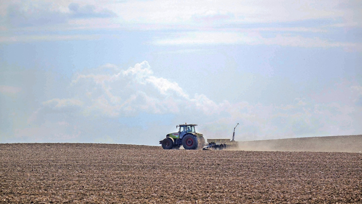 Nichts als Land: Die Ukraine ist wirtschaftlich ein Zwerg, gehört aber immerhin zu den großen Getreideexporteuren.