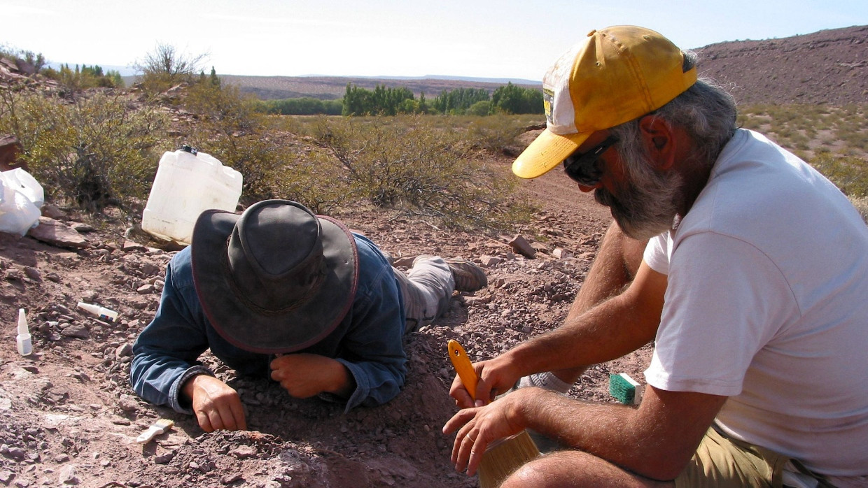 Paläontologen graben in Argentinien Überreste von einem Dinosaurier aus (Symbolbild).