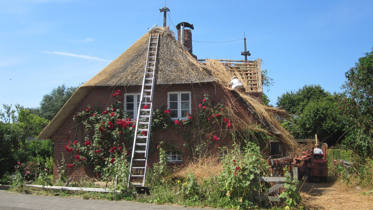 Ländliche Idylle auf Föhr