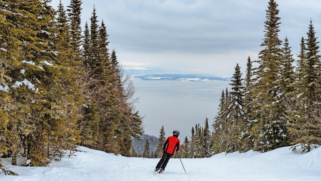 Tagtraum für Genussfahrer: Im Wald ist auch langsames Skifahren aufregend und zudem verharscht der Schnee trotz des Windes nicht.