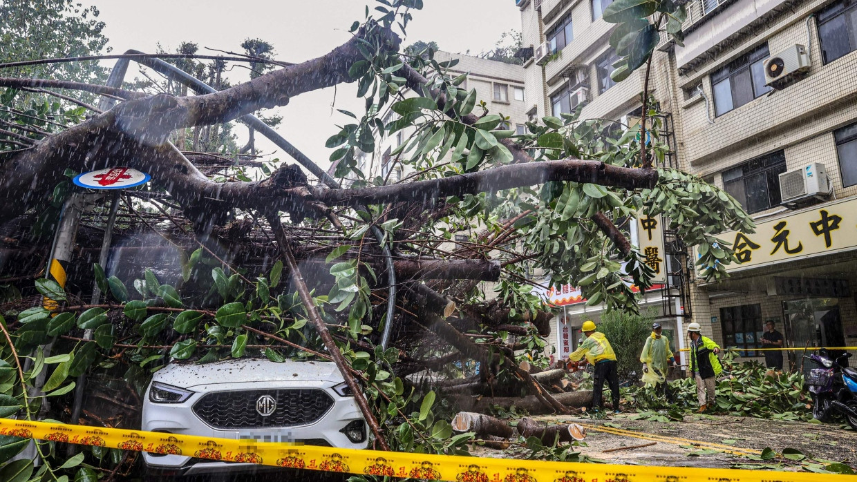 Folgen des Super-Taifuns: Umgestürzter Baum in Taipeh in Taiwan