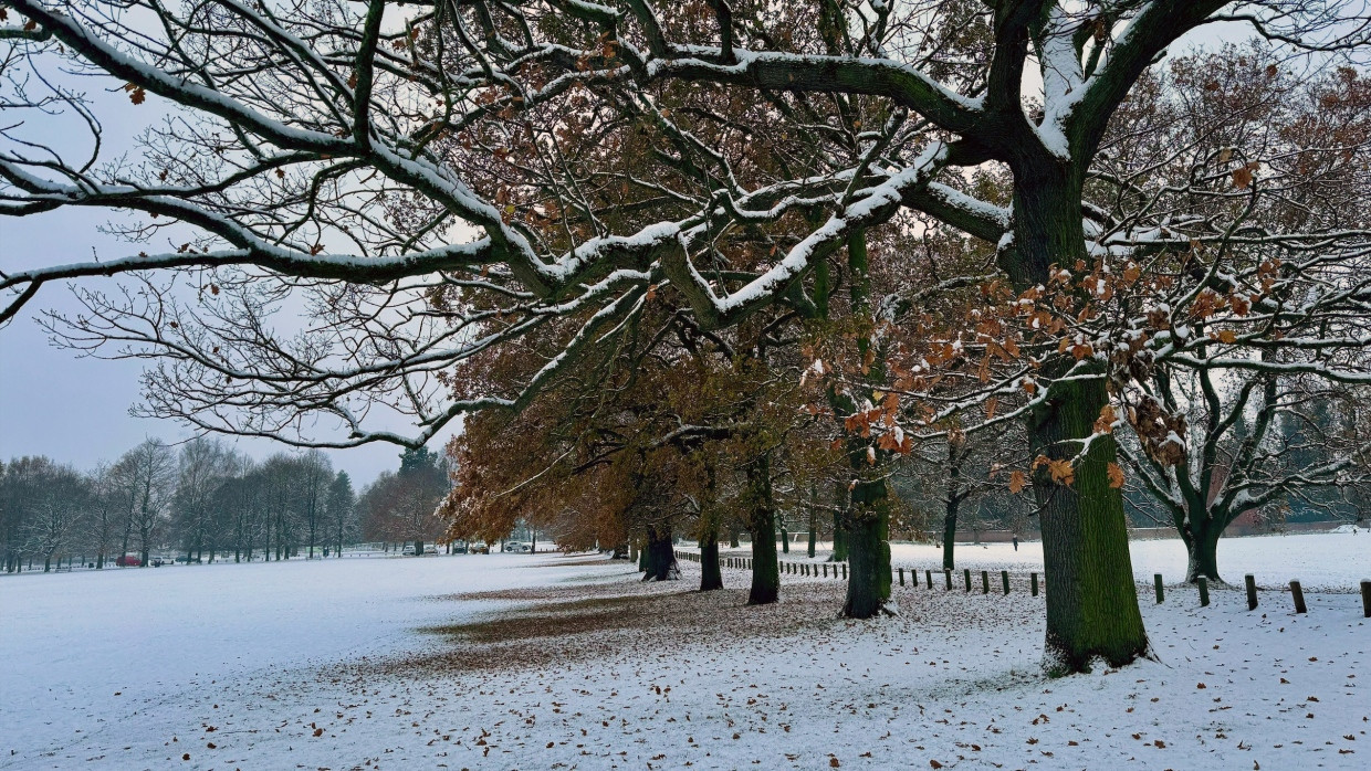 Ein Park in Nottingham im vergangenen Spätherbst (Symbolbild)