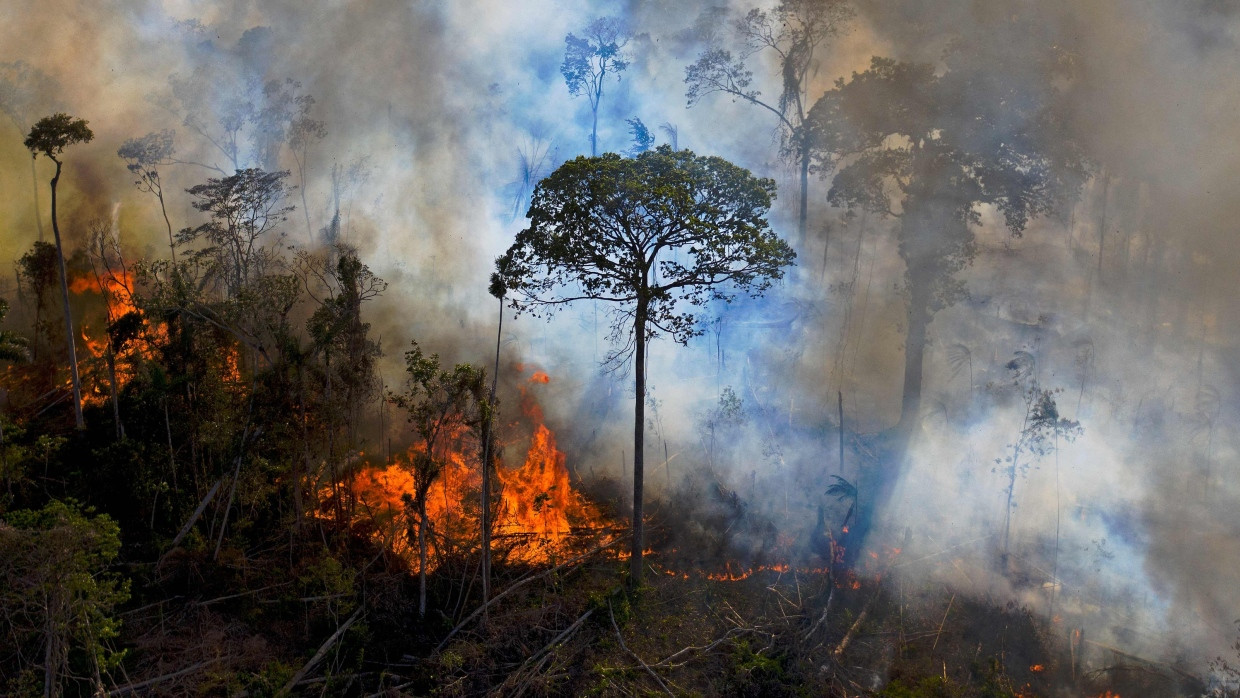 Wald in Flammen: Im Jahr 2020 brannte es im Süden von Novo Progresso im Bundesstaat Pará.