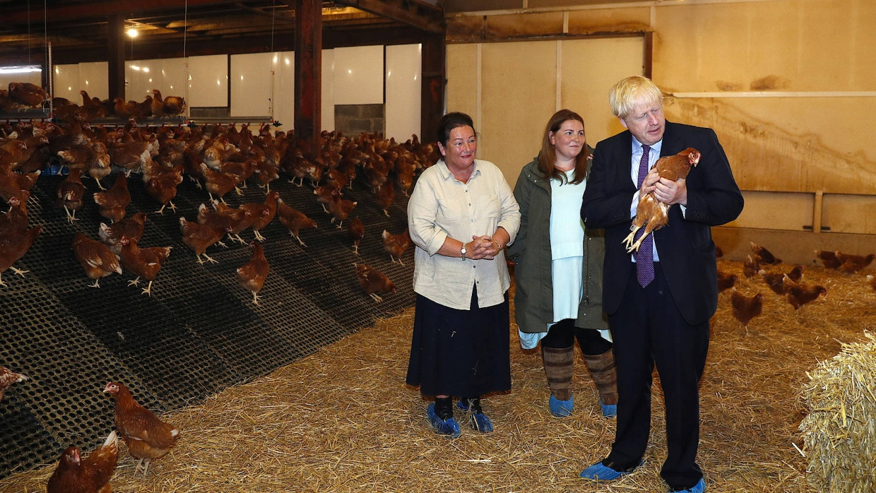 Johnson auf seiner politischen Tour in einem landwirtschaftlichen Betrieb in Wales. Vor allem in Schottland kommt der britische Premierminister noch nicht gut an.