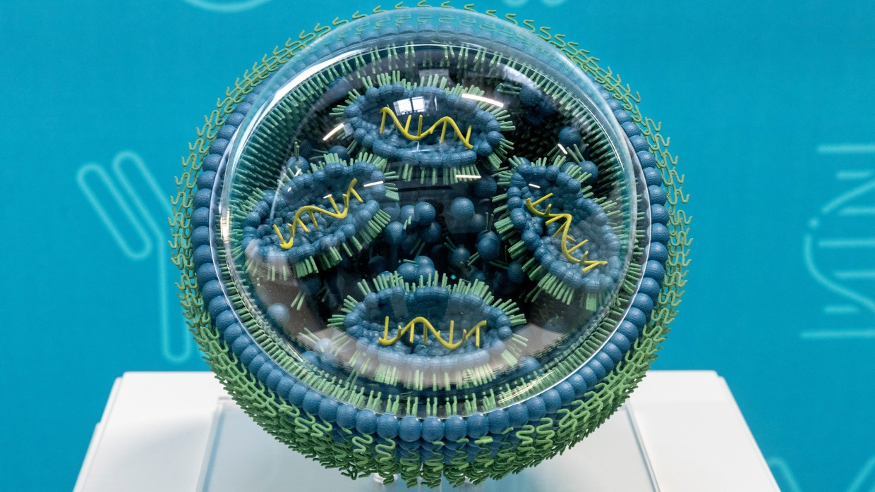 Modell einer mRNA (Boten-Ribonukleinsäure) in den Räumen von Biontech in Mainz