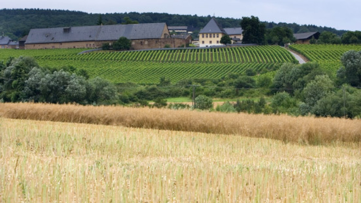 Das Gut Neuhof im Rheingau sollte ein Projekt zur Qualifizierung Langzeitarbeitsloser in der Landwirtschaft werden. Das hat der Landrat jetzt gestoppt.