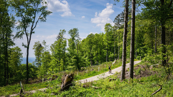 Ob mit dem Rad oder zu Fuß: Der Große Feldberg lässt sich auf vielen Wegen erobern.