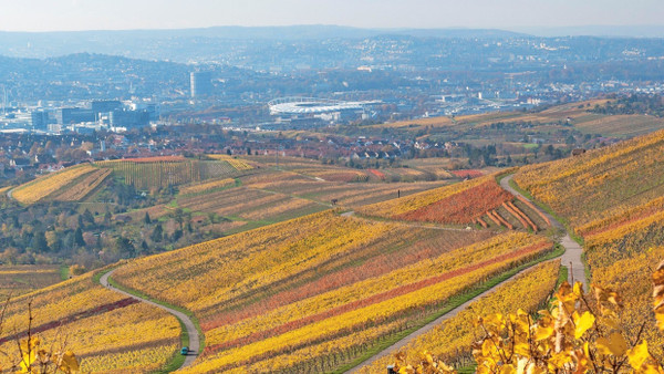 Großstadt mit großartigen Weinlagen: Blick auf Stuttgart vom Kappelberg und Rotenberg aus.