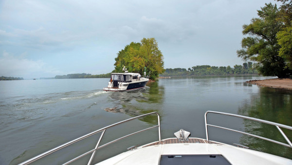 Bislang im Sommer erlaubt: Privatboote fahren über die Stillwasserzone nahe der Insel Ilmenaue auf dem Rhein.