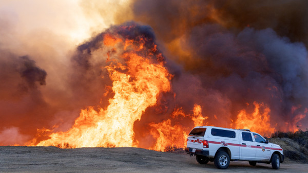 Auf den Hügeln hinter Pacific Palisades im Topanga State Park wütet am Samstag das Feuer.