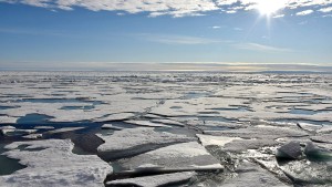 Temperaturrekord von 38 Grad in der Arktis offiziell anerkannt