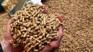 German Pellets wird aufgespalten