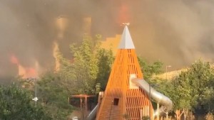 Mehrere Tote nach Angriffen auf Synagoge und Kirchen