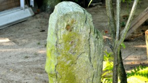 Hinkelstein im Schrebergarten vergessen