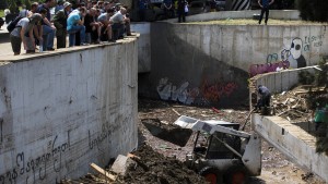 Entlaufener Tiger tötet Mann in Tiflis