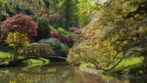 Ein Garten voller Vorsätze