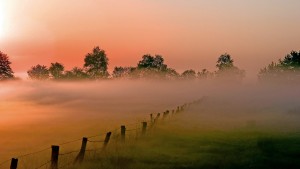 Das glücklichste Dorf Deutschlands?