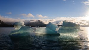 Algen häufen Mikroplastik unter dem Eis an