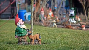 Was Schrebergärten über Gemeinschaft lehren