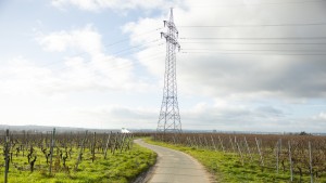 Rhein-Main-Link-Trasse soll Weinberge verschonen