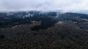 Bad Orb bekräftigt sein Nein zum Windpark