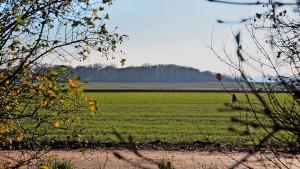 Ostfeld wird für die Stadt immer teurer