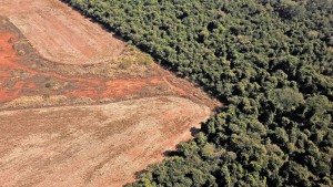 So sollen Klima- und Naturschutz zusammen gelingen