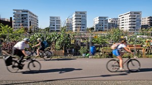 Offenbach investiert in sicheres Radfahren