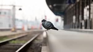 Bahnstreiks ließen sich verhindern