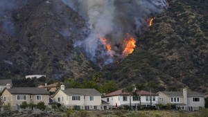 Es gibt ein Mittel gegen Waldbrand