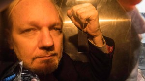 Assange zu 50 Wochen Haft verurteilt