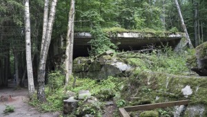 Wie kamen die fünf Leichen in Hermann Görings Haus?