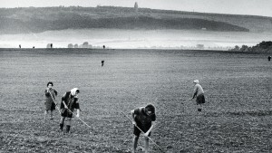 Das Elend der deutschen Erinnerungskultur