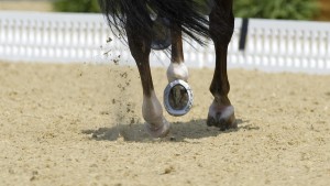 Keine Russen bei Olympia in Versailles